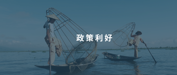 企業利好 | 上海生育新政實施，企業產假成本減半
